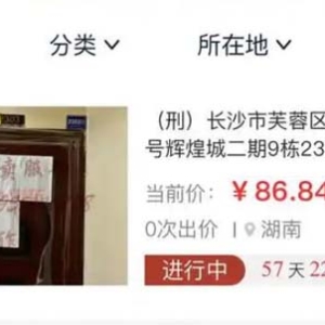 合肥“房姐”长沙剩余房产2天变卖2套，多数房源还无人问津！